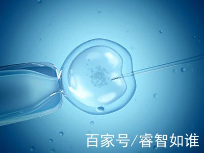 关于丹韵生殖